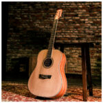 Guitarra acústica Dreadnought Top Delta Woods DW-2TM - Imagen 10