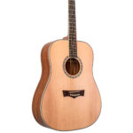 Guitarra acústica Dreadnought Top Delta Woods DW-2TM - Imagen 6