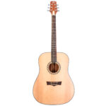 Guitarra acústica Dreadnought Top Delta Woods DW-2TM