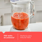 Licuadora Ice Crush BL0876-0WDLA - Imagen 9