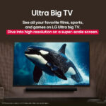 Televisor de 43" LG UHD AI 4K Smart TV 2025 43UA7300PSB - Imagen 8